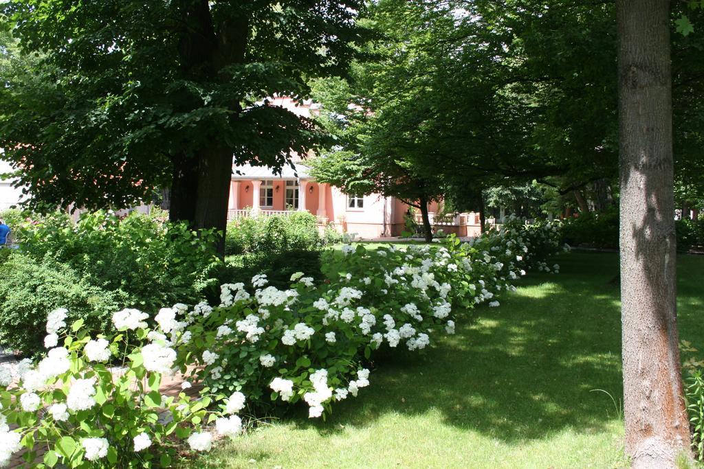 Willa Rozana Nałęczów المظهر الخارجي الصورة